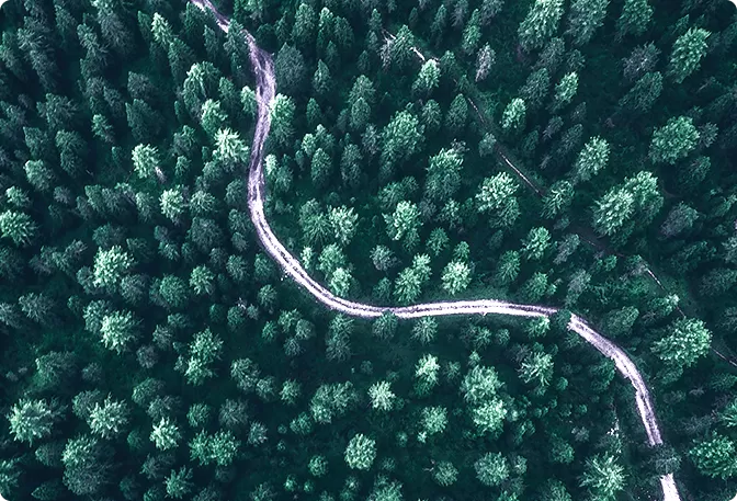 Устойчивое развитие Устойчивое развитие