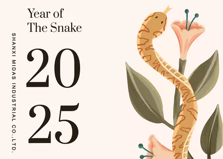 С новым 2025 годом!